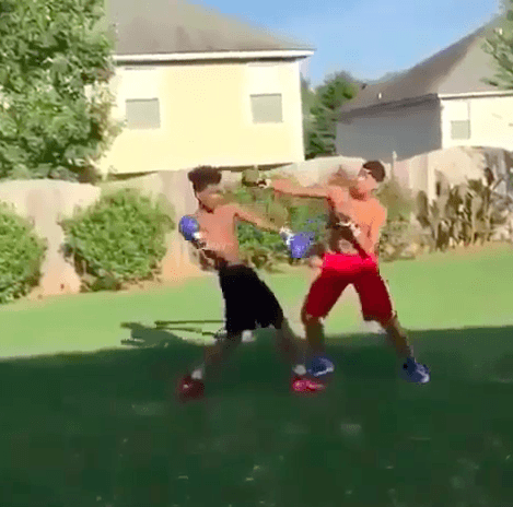 knock out fight