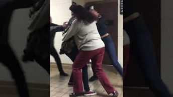 students fight in school