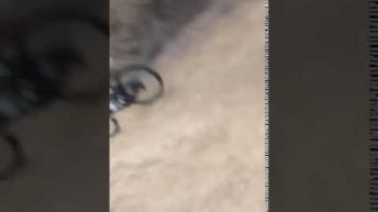 biker hits drone