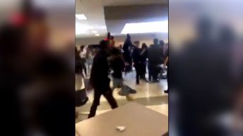 brawl at norview high school