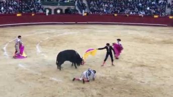 enrique ponce matador injured wh