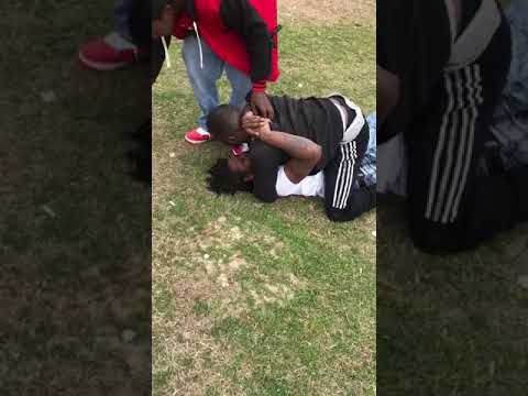 man gets knocked out in fight