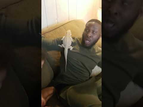 man scared of lizard