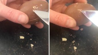 mom finds maggot in chocolate