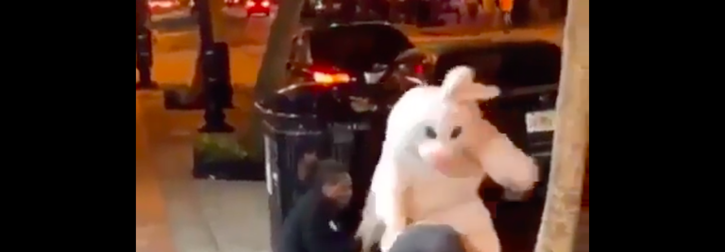 Easter Bunny fight