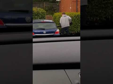 a man leaf blows a car