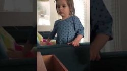 alexa not playing baby shark for