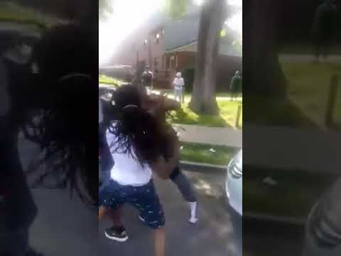 gang members fight in tennessee