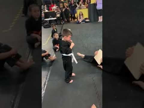 karate kid breaks board