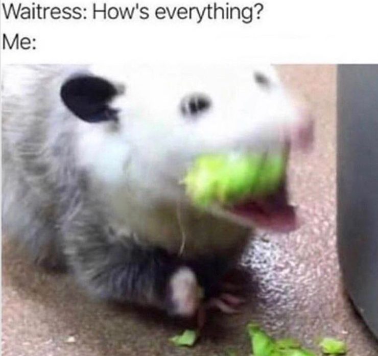 Eating a restaurant meme