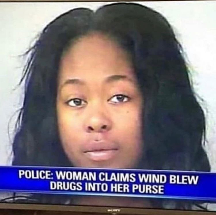 Woman claims wind blew drugs into her purse