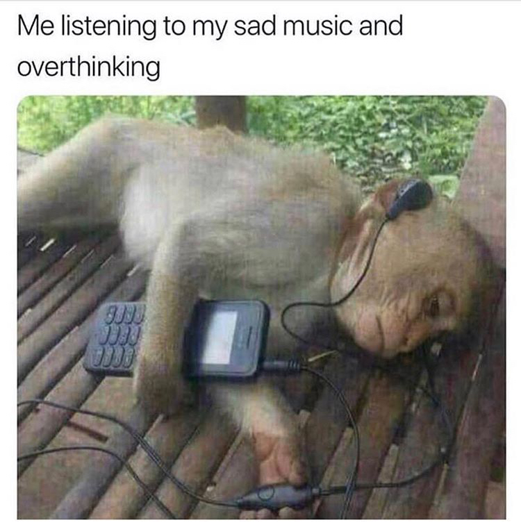 Monkey listening to sad music meme