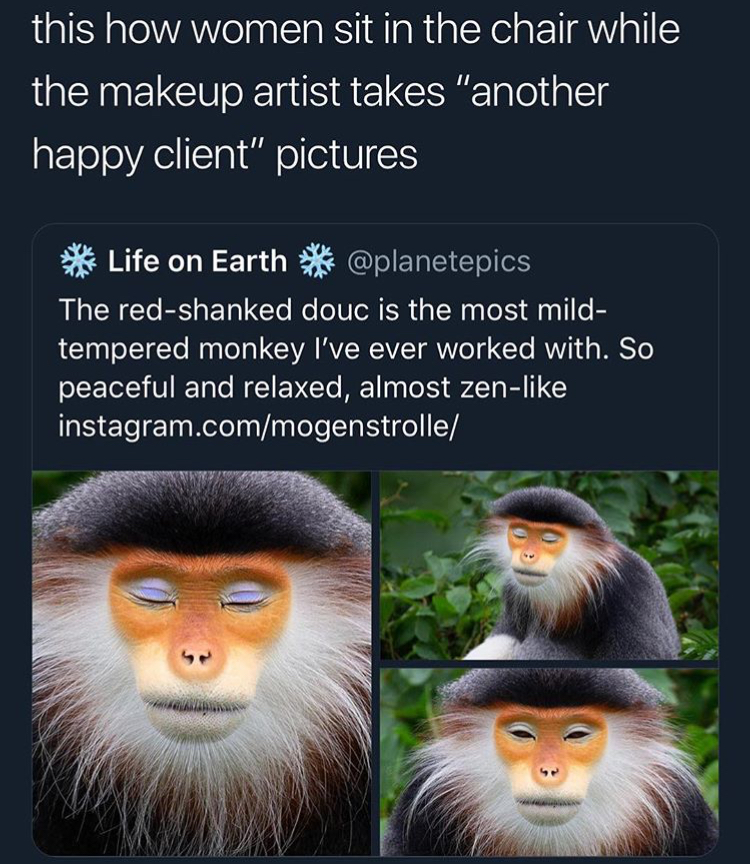 funny monkey makeup tweet