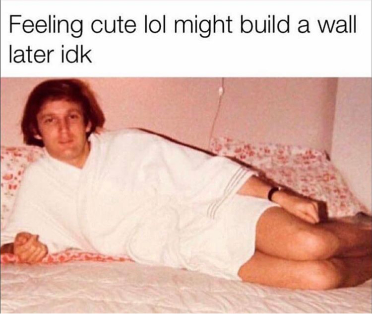 Donald Trump Feeling cute might build a wall meme