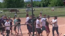 brawl at youth baseball game
