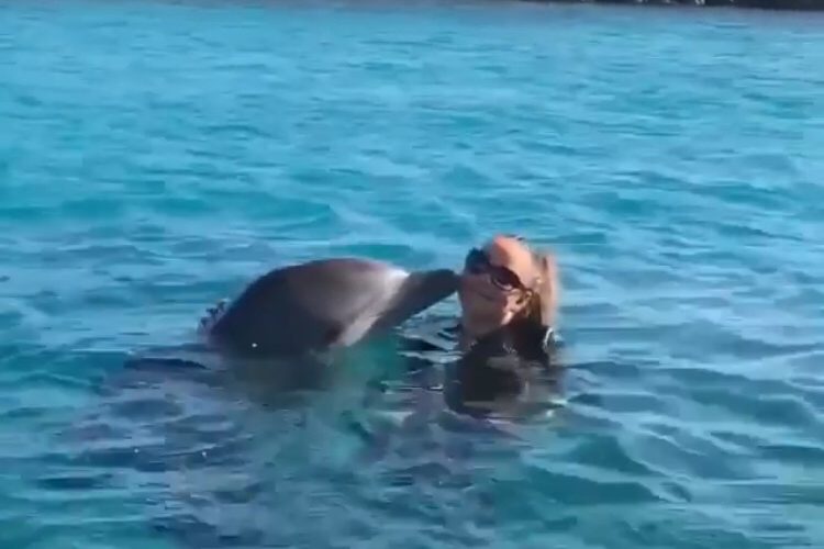 Dolphin kisses Mariah Carey