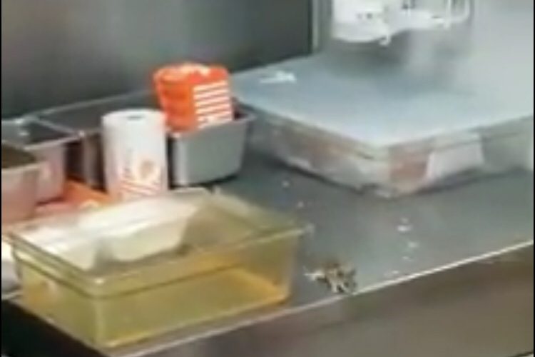 Mouse in whataburger restaurant