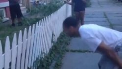 Attempting to jump over fence and fail