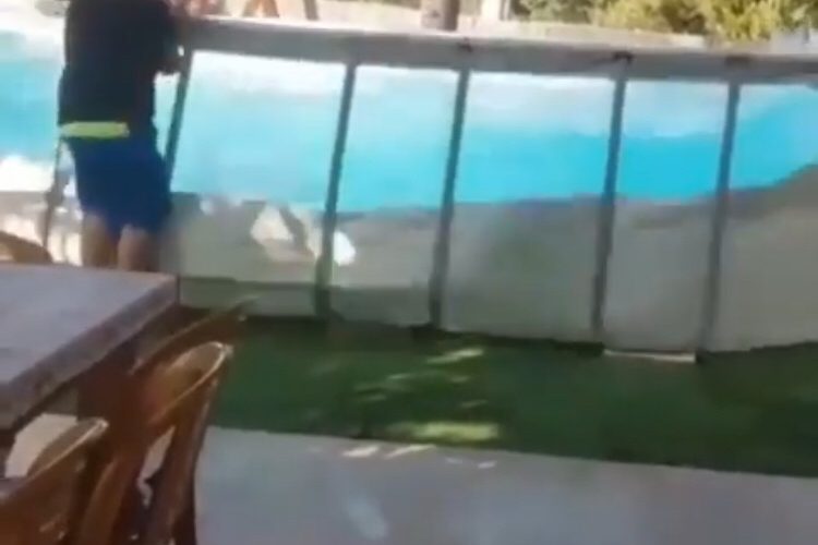 man rips pool and creates backyard tsunami
