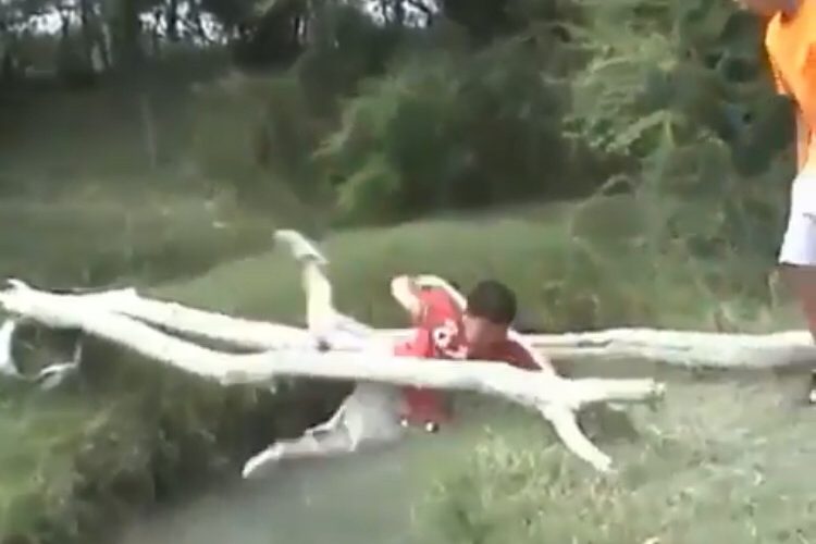 boy falls off of tree branch