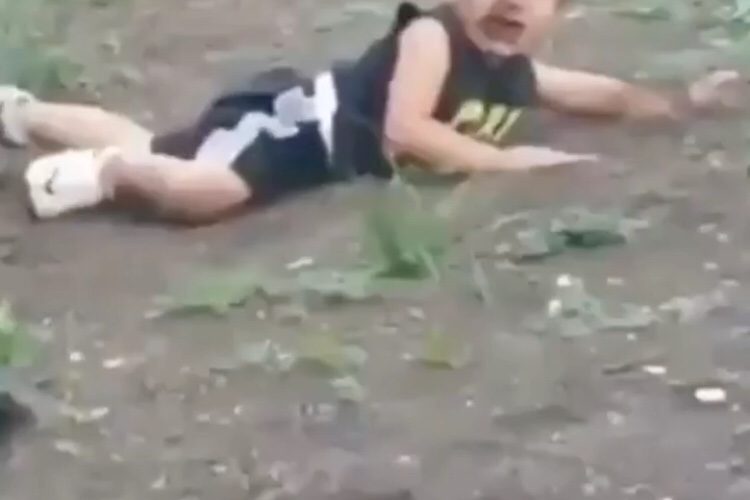 Bulldog knocks kid off of slide