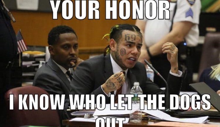 Tekashi who let the dogs out meme