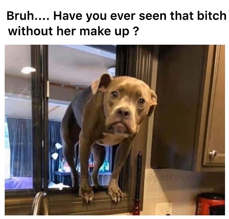 Have you seen her without makeup meme