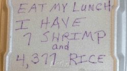 do not eat my lunch i have 7 shrimp and 4377 rice