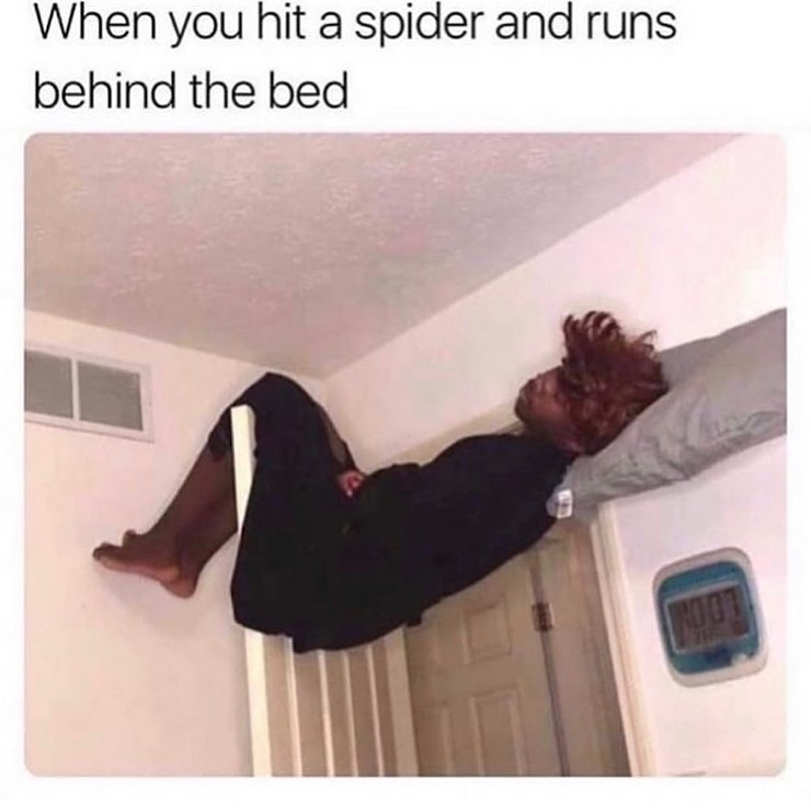 When you hit a spider and runs behind bed meme