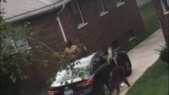 Couple fight in front yard