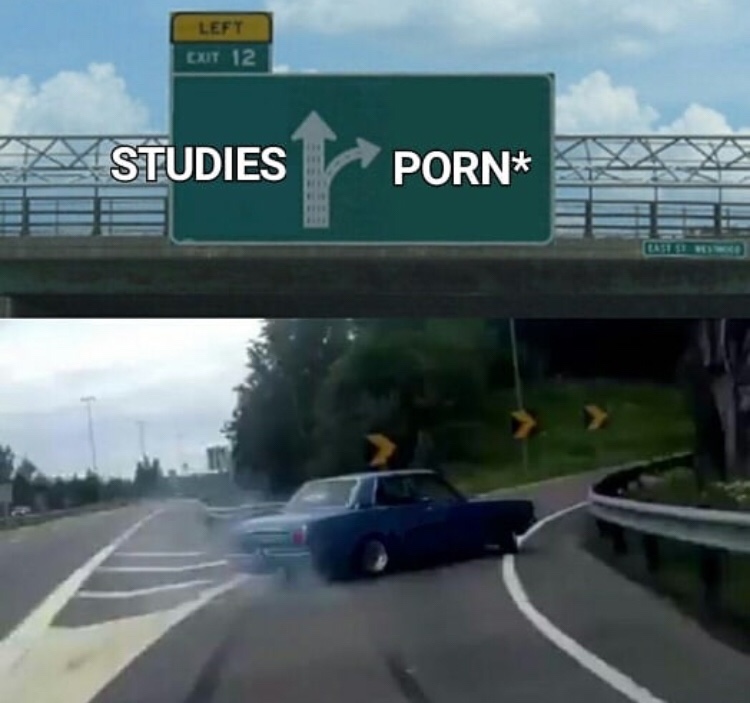 Studying vs porn meme