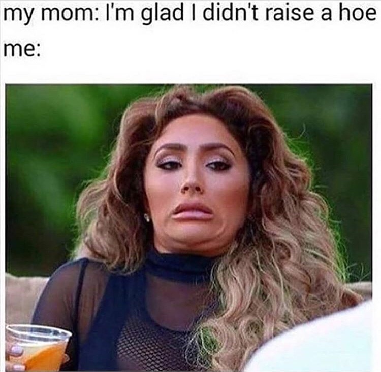 mom glad she didn't raise no hoe meme