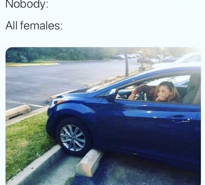 Females can't drive meme