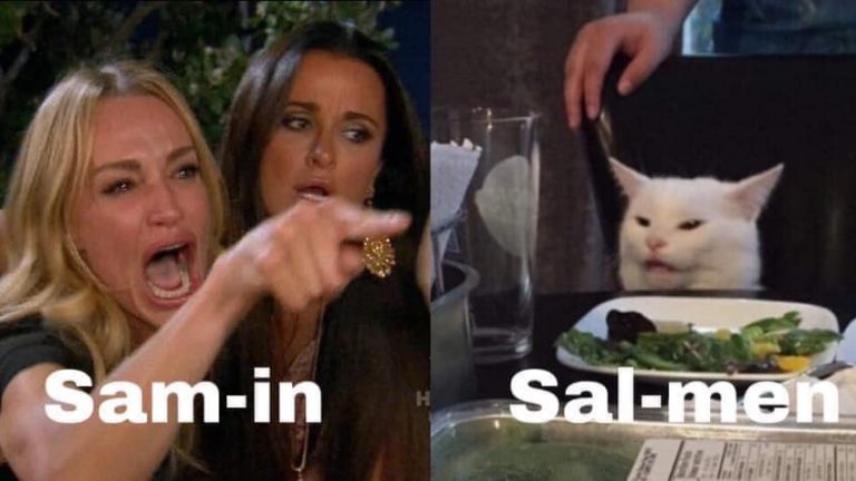 angry cat vs woman meme salmon