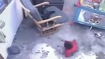 cat saves baby from stairs