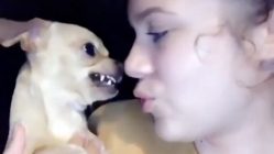 Dog doesn't like kiss