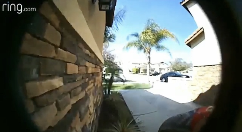 Neighbor caught stealing package