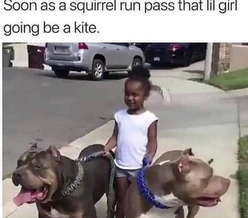 Soon as a squirrel run past the little girl will be a kite