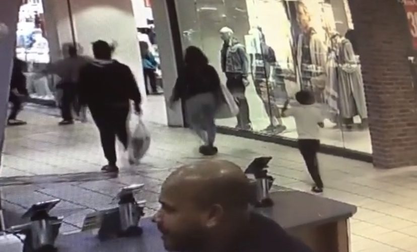 thief tries to rob woman in mall