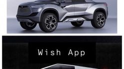 Expectation vs Wish app Tesla Cybertruck meme