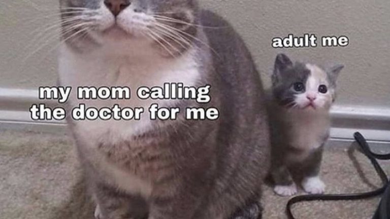 My mom calling the doctor's office for me meme