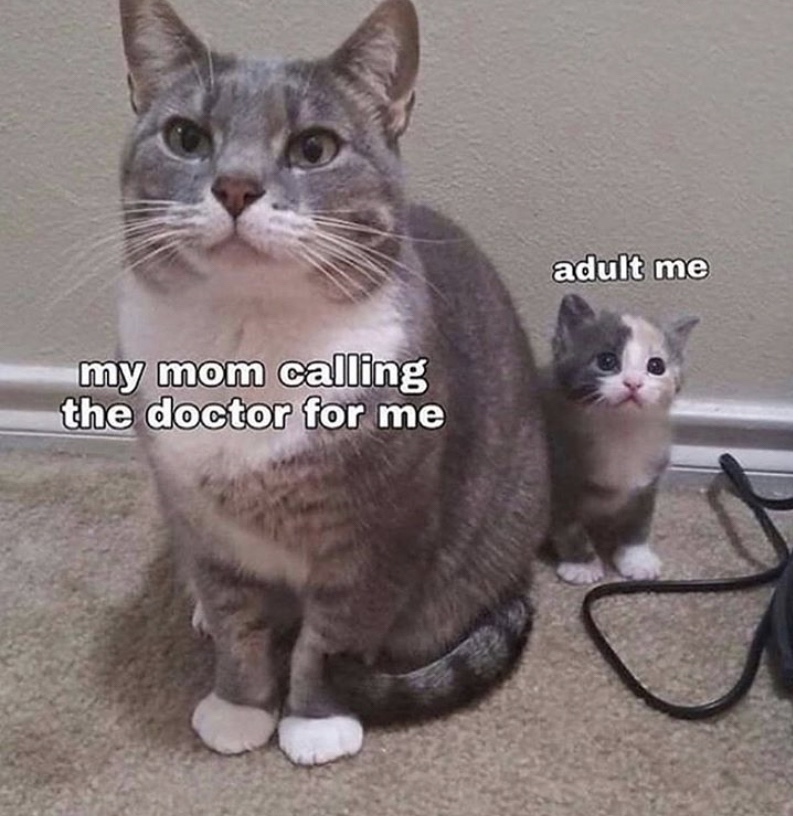 My mom calling the doctor's office for me meme