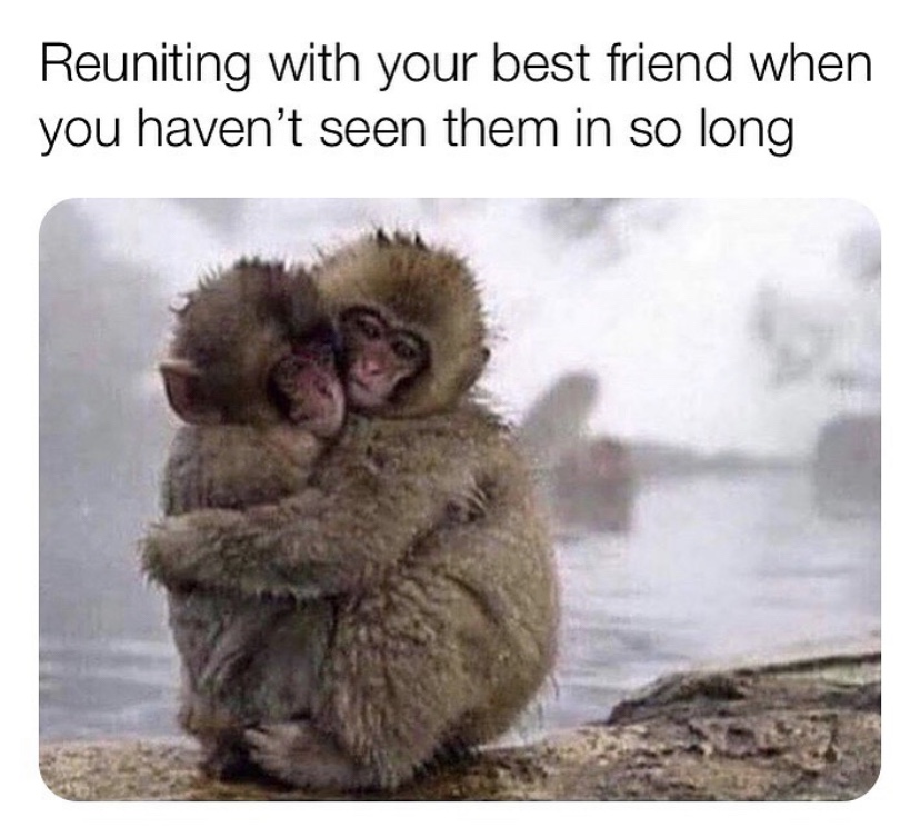 reuniting with best friend meme