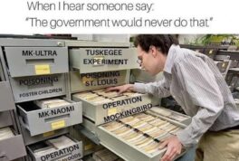 When I hear someone say the government would never do that meme
