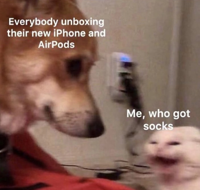 Everybody unboxing AirPods vs me angry cat meme