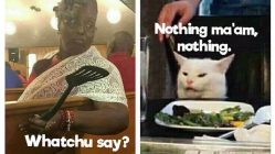 Whatchu say black woman vs angry cat