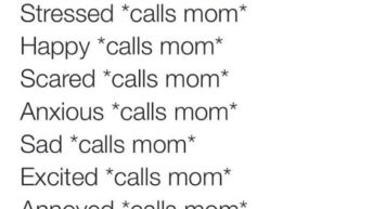 calls mom meme