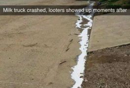 Milk truck crashed, looters showed up moments afterwards