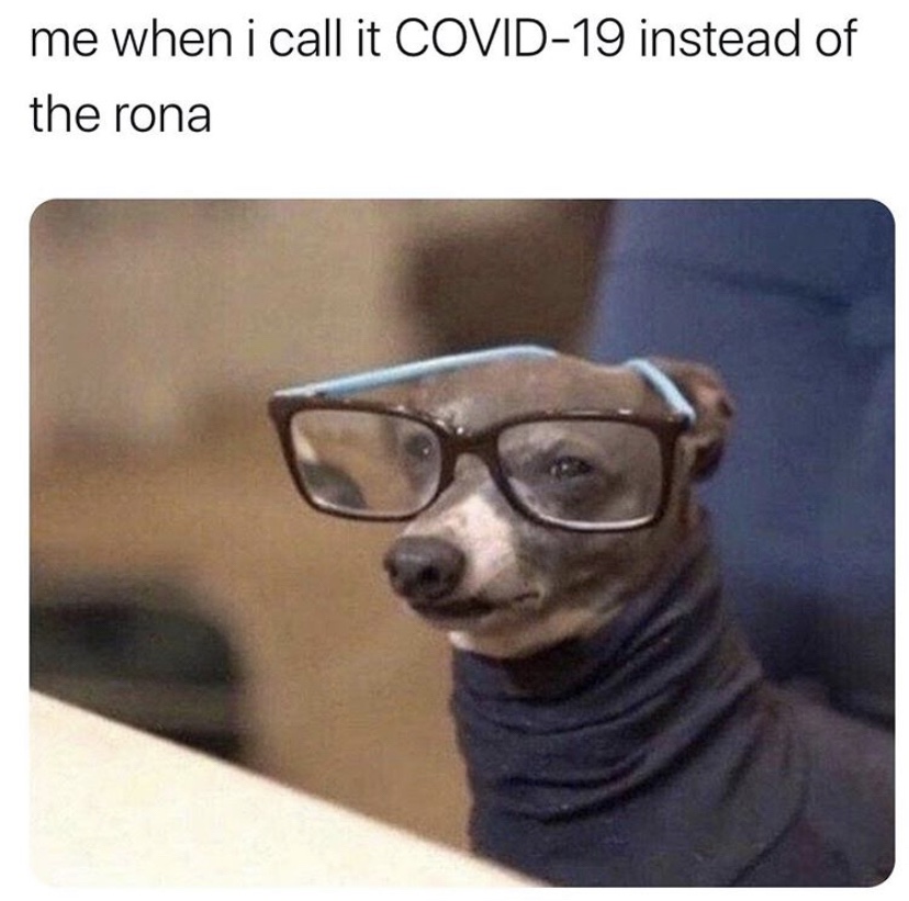 Me when I call it COVID-19 instead of the rona dog meme