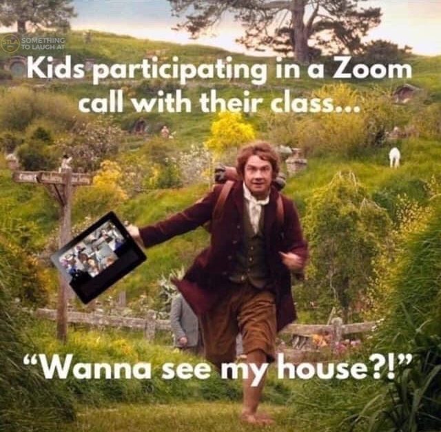 Wanna see my house Zoom call with class meme